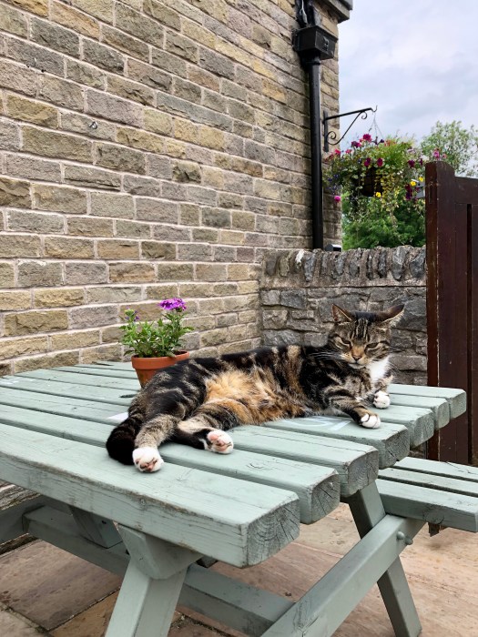 Pub_Grub_Castleton_Review_My_Trip